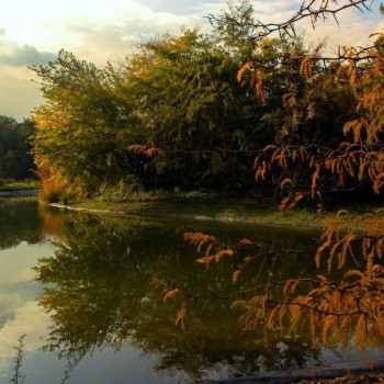 تصویر منطقه